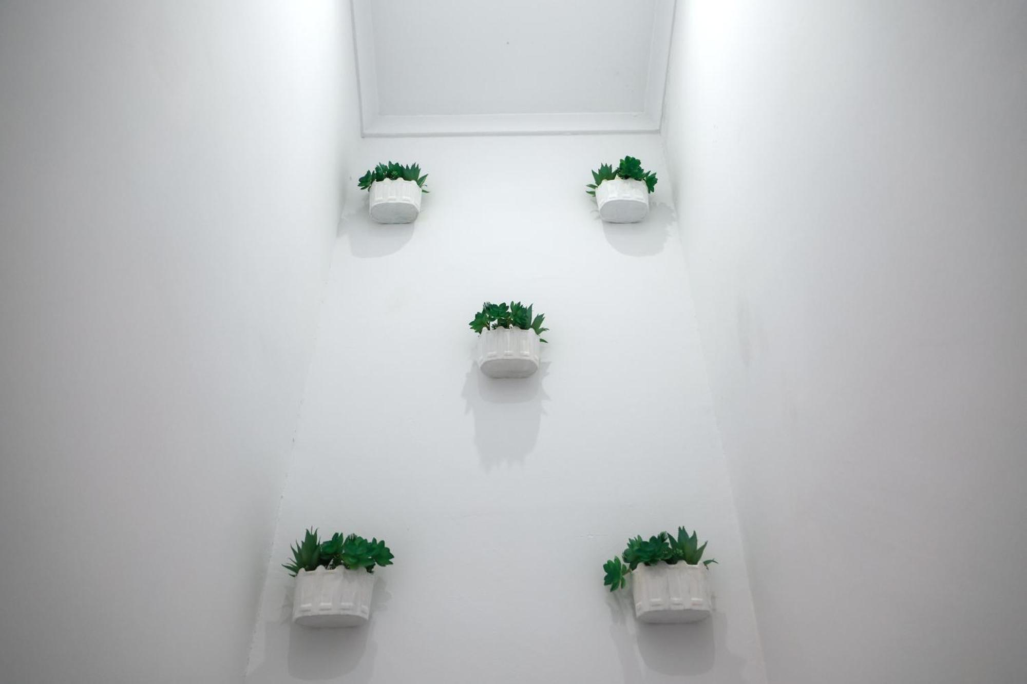 Guest House Abegorias 나자레 외부 사진